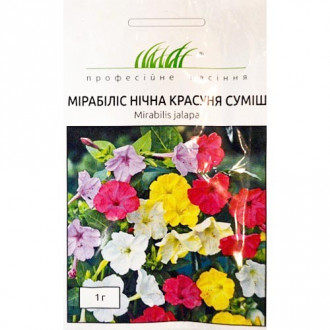 Мирабилис Ночная красавица, смесь окрасок Профессиональные семена рисунок 3