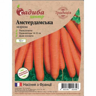 Морковь Амстердамска Садыба центр рисунок 5