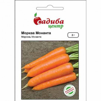 Морква Монанта Садиба центр зображення 6