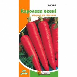 Морковь Королева Осени Яскрава рисунок 4