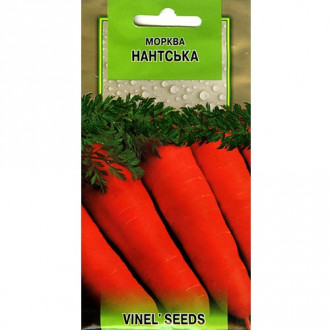 Морковь Нантская Vinel seeds рисунок 1