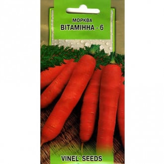 Морква Вітамінна Vinel seeds зображення 2