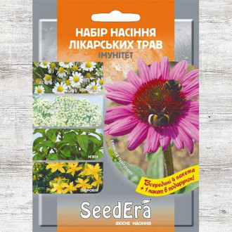 Набор семян Лекарственные травы Иммунитет из 5 упаковок, смесь сортов Seedera рисунок 2