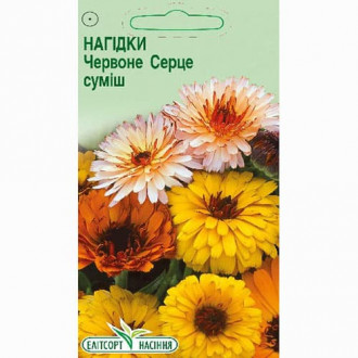 Календула Красное сердце Элитсорт рисунок 4