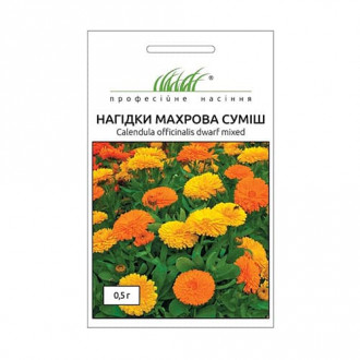 Нагідки (календула) махрова, суміш забарвлень Професійне насіння зображення 5