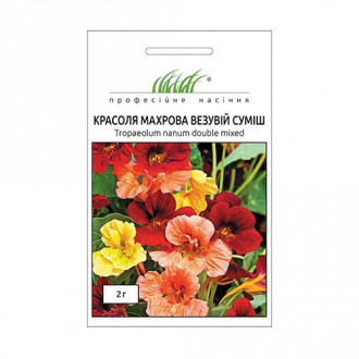 Настурція (красоля) махрова Везувій, суміш забарвлень Професійне насіння зображення 4