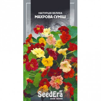 Настурция махровая, смесь окрасок Seedera рисунок 5