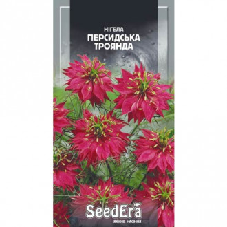 Нигела Персидская роза Seedera рисунок 1