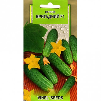 Огірок Бригадний F1 Vinel seeds зображення 2