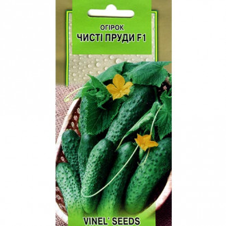 Огурец Чистые пруды F1 Vinel seeds рисунок 5