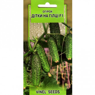 Огурец Детки на ветке F1 Vinel seeds рисунок 4