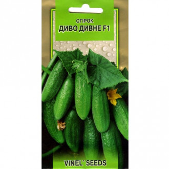 Огірок Диво дивне F1 Vinel seeds зображення 8