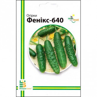 Огурец Феникс-640 Империя семян рисунок 5