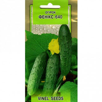 Огірок Фенікс-640 Vinel seeds зображення 1