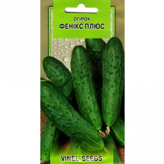 Огурец Феникс плюс Vinel seeds рисунок 2