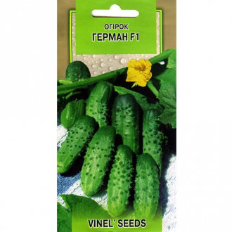 Огірок Герман F1 Vinel seeds зображення 14