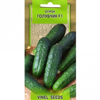 Огірок Голубчик F1 Vinel seeds зображення 3