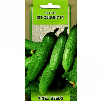 Огурец Хит сезона F1 Vinel seeds рисунок 10