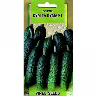 Огірок Кум да кума F1 Vinel seeds зображення 4