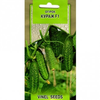 Огірок Кураж F1 Vinel seeds зображення 4