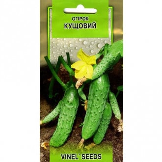 Огурец Кустовой Vinel seeds рисунок 5