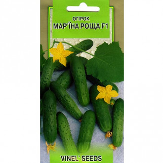 Огурец Марьина роща F1 Vinel seeds рисунок 4