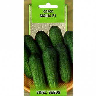 Огурец Маша F1 Vinel seeds рисунок 6