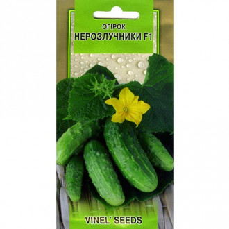 Огурец Неразлучники F1 Vinel seeds рисунок 5