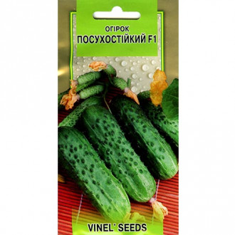 Огурец Засухоустойчивый F1 Vinel seeds рисунок 6