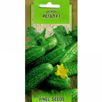 Огірок Регал F1 Vinel seeds зображення 9