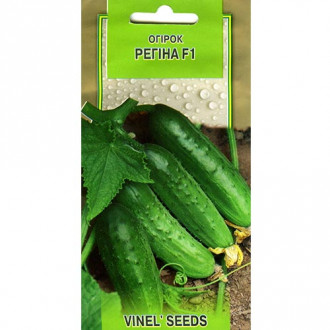 Огірок Регіна F1 Vinel seeds зображення 6