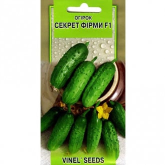 Огірок Секрет фірми F1 Vinel seeds зображення 3