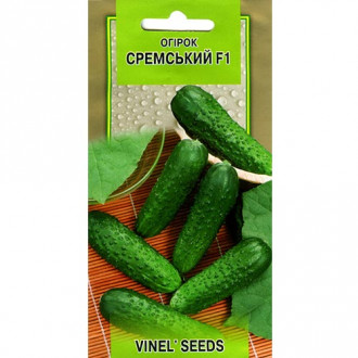 Огірок Сремський F1 Vinel seeds зображення 13