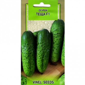 Огурец Теща F1 Vinel seeds рисунок 3