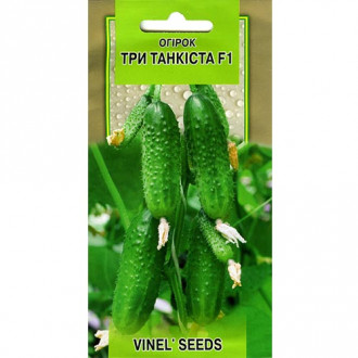 Огурец Три танкиста F1 Vinel seeds рисунок 3