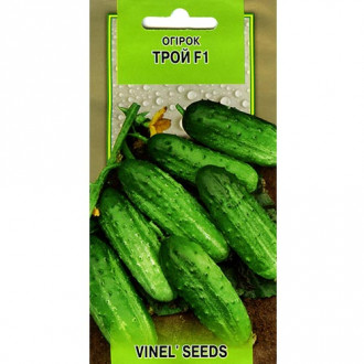 Огірок Трой F1 Vinel seeds зображення 4