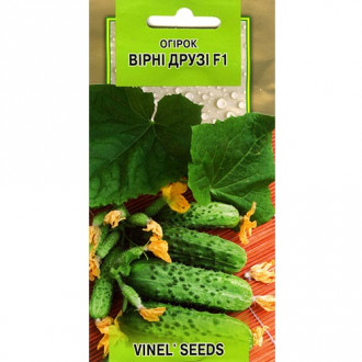 Огурец Верные друзья F1 Vinel seeds рисунок 2