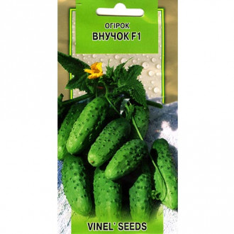 Огірок Внучок F1 Vinel seeds зображення 4