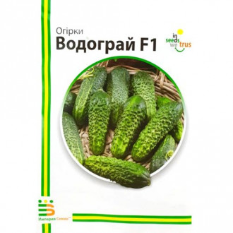 Огірок Водограй F1 Імперія насіння зображення 3