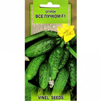 Огурец Все пучком F1 Vinel seeds рисунок 3