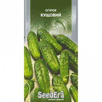 Огурец Кустовой Seedera рисунок 4