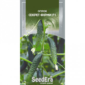 Огурец Секрет фирмы F1 Seedera рисунок 5