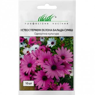 Остеоспермум Балада,суміш забарвлень Професійне насіння зображення 1