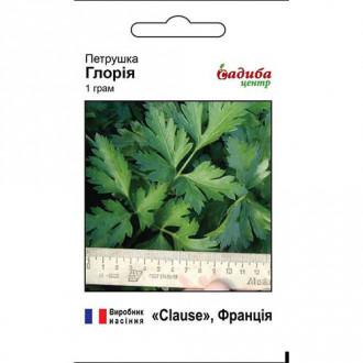 Петрушка листовая Глория Садыба центр рисунок 4