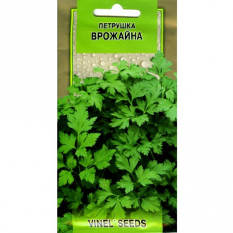 Петрушка Врожайна Vinel seeds зображення 6