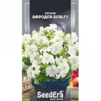 Петуния Афродита белая F1 Seedera рисунок 5