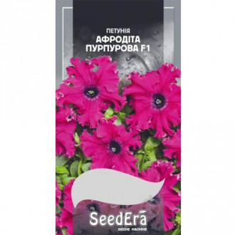 Петуния Афродита пурпурная F1 Seedera рисунок 1