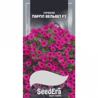 Петуния Парпл Вельвет F1 Seedera рисунок 2