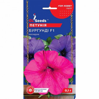 Петунія Бургунді F1 GL Seeds зображення 5