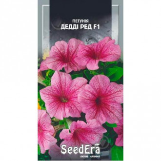 Петуния Дэдди Ред F1 Seedera рисунок 5